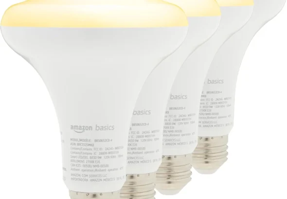 Amazon Basics Smart BR30 LED Bulbs: 4